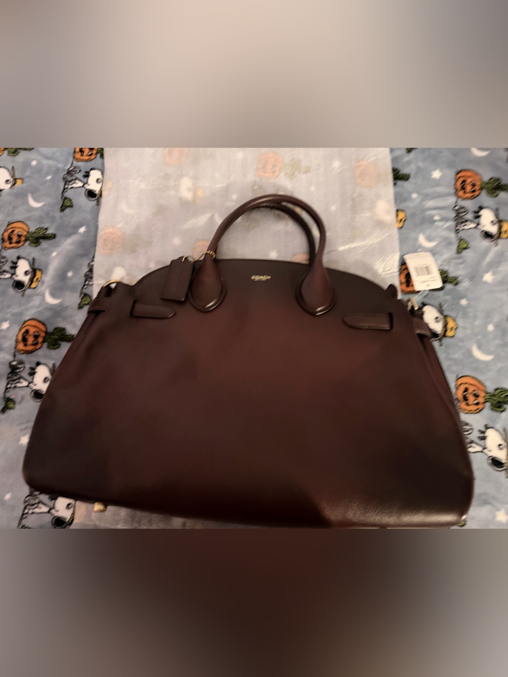 Coach Soft Empire Carryall Bag 40 Brass/merlot
CW616 Natural grain leather